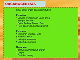 Cikal bakal organ dan sistem tubuh :
Endoderm
 Saluran Pencernaan Dari Faring
sampai Rektum
 Epitel Trakea, Bronki, Paru
 Hati, pankreas, kandung kemih
Ektoderm
 Membran Mukosa, Gigi
 Rambut, Kuku
 Kelenjar Mammae
 Sistem persarafan
Mesoderm
 Jantung & Pembuluh Darah
 Limpa
 Otot dan tulang
 