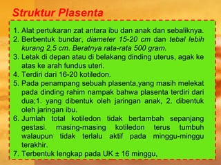 1. Alat pertukaran zat antara ibu dan anak dan sebaliknya.
2. Berbentuk bundar, diameter 15-20 cm dan tebal lebih
kurang 2,5 cm. Beratnya rata-rata 500 gram.
3. Letak di depan atau di belakang dinding uterus, agak ke
atas ke arah fundus uteri.
4. Terdiri dari 16-20 kotiledon.
5. Pada penampang sebuah plasenta,yang masih melekat
pada dinding rahim nampak bahwa plasenta terdiri dari
dua;1. yang dibentuk oleh jaringan anak, 2. dibentuk
oleh jaringan ibu.
6. Jumlah total kotiledon tidak bertambah sepanjang
gestasi. masing-masing kotiledon terus tumbuh
walaupun tidak terlalu aktif pada minggu-minggu
terakhir.
7. Terbentuk lengkap pada UK ± 16 minggu,
Struktur Plasenta
 