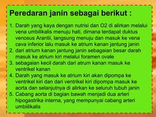 Peredaran janin sebagai berikut :
1. Darah yang kaya dengan nutrisi dan O2 di alirkan melalui
vena umbilikalis menuju hati, dimana terdapat duktus
venosus Arantii, langsung menuju dan masuk ke vena
cava inferior lalu masuk ke atrium kanan jantung janin
2. dari atrium kanan jantung janin sebagaian besar darah
masuk ke atrium kiri melalui foramen ovale
3. sebagaian kecil darah dari atrum kanan masuk ke
ventrikel kanan
4. Darah yang masuk ke atrium kiri akan dipompa ke
ventrikel kiri dan dari ventrikel kiri dipompa masuk ke
aorta dan selanjutnya di alirkan ke seluruh tubuh janin
5. Cabang aorta di bagian bawah menjadi dua arteri
hipogastrika interna, yang mempunyai cabang arteri
umbiilikalis
 