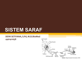 SISTEM SARAF
DEWI SETIYANA, S.Pd, M.Si.BioMed
4401411058
 
