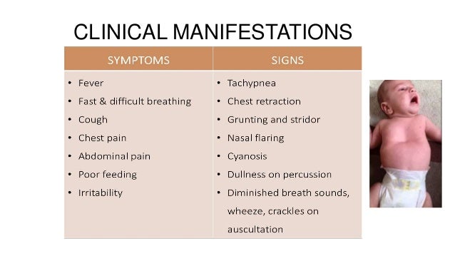 pneumonia physical exam findings pneumonia physical exam findings
