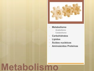 Metabolismo
• Metabolismo
• Anabolismo
• Catabolismo
• Carbohidratos
• Lípidos
• Ácidos nucleicos
• Aminoácidos Proteínas
 