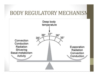 BODY REGULATORY MECHANISM
 