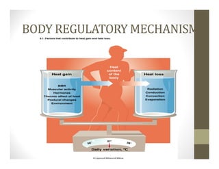 BODY REGULATORY MECHANISM
 
