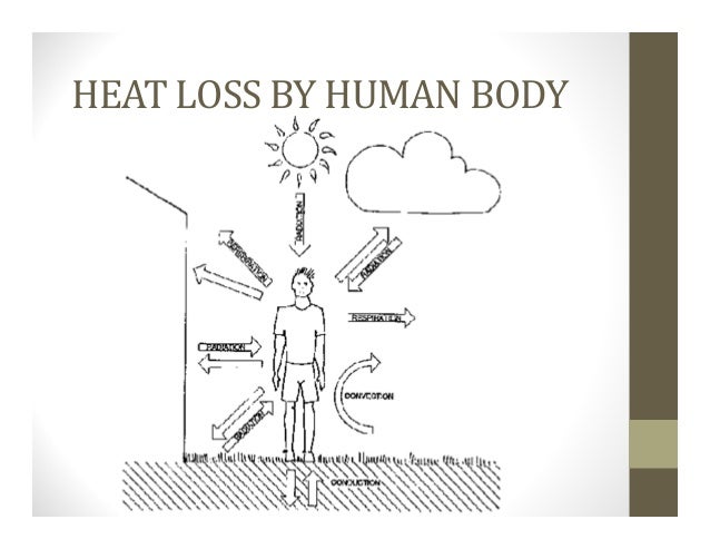 4 Thermal Comfort