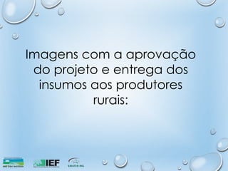 Imagens com a aprovação
do projeto e entrega dos
insumos aos produtores
rurais:
 