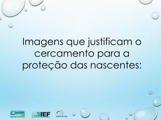 Imagens que justificam o
cercamento para a
proteção das nascentes:
 