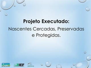 Projeto Executado:
Nascentes Cercadas, Preservadas
e Protegidas.
 