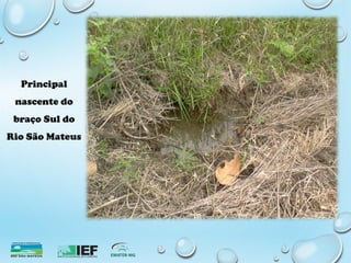 Principal
nascente do
braço Sul do
Rio São Mateus
 