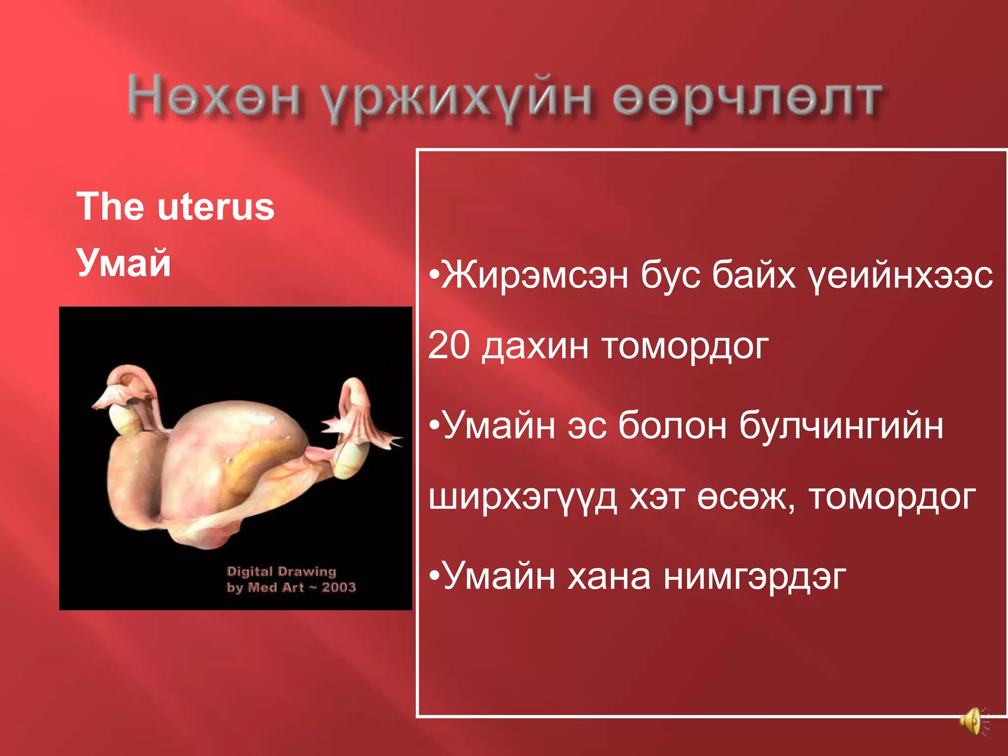 4. Жирэмсэн үед гарах физиологийн өөрчлөлтүүд | PPT