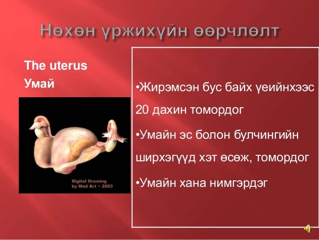 4. Жирэмсэн үед гарах физиологийн өөрчлөлтүүд