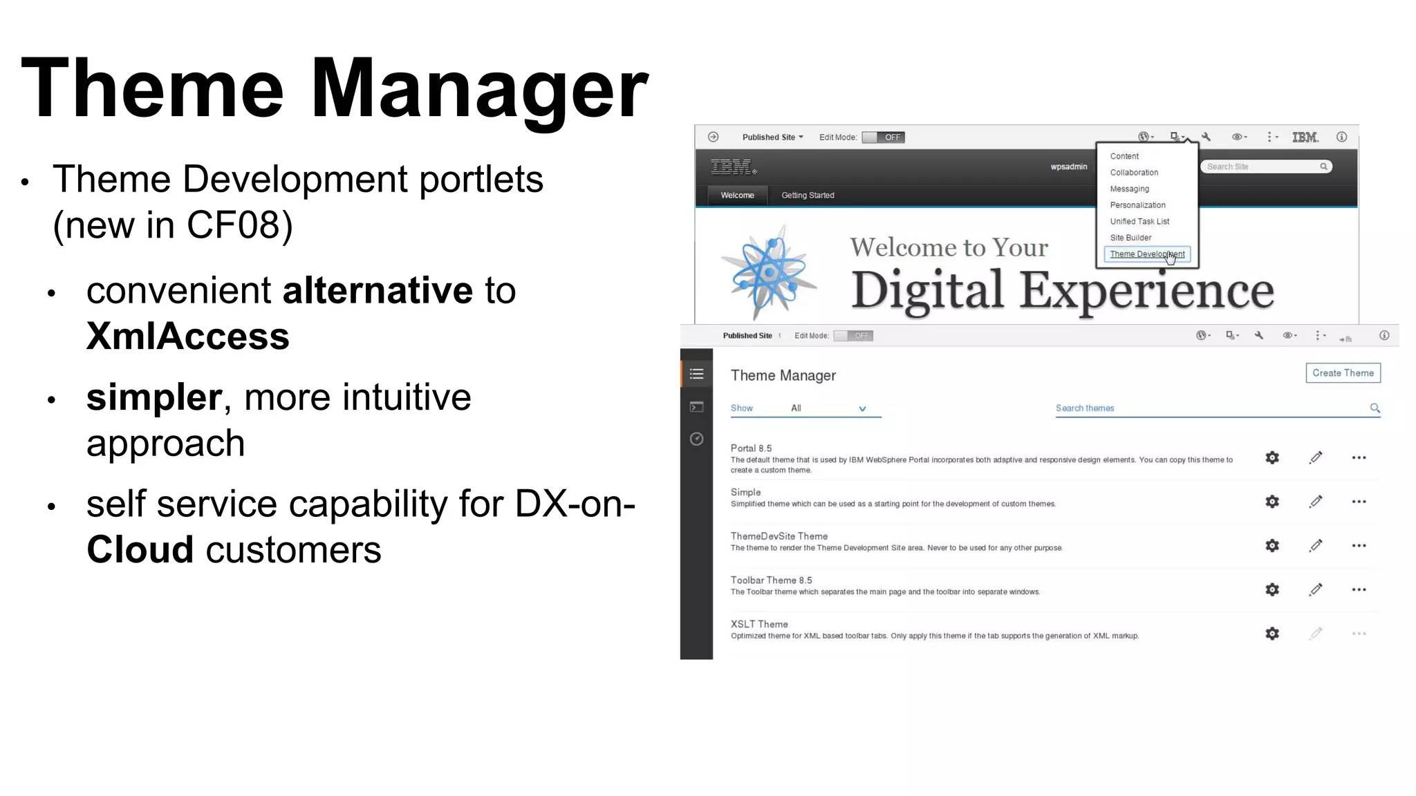 Theme Manager
• Theme Development portlets
(new in CF08)
• convenient alternative to
XmlAccess
• simpler, more intuitive
approach
• self service capability for DX-on-
Cloud customers
 