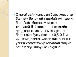  Онцгой сайн чанарын буюу ховор үр
бэлтгэж болох ойн талбай түүнээс ч
бага байж болно. Мод өтгөн
титэмтэй байхаас гадна хамгийн
доод захын мөчир нь газарт аль
болох ойр буюу газраас 0,5-0,7 м-
ийн зайд байна. Хэрэв ойн байнгын
үрийн хэсэгт тахир гологдол модыг
байлгалгүй даруй зайлуулна.
 