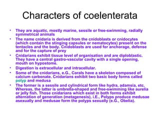 Characters of coelenterata
• They are aquatic, mostly marine, sessile or free-swimming, radially
symmetrical animals
• The name cnidaria is derived from the cnidoblasts or cnidocytes
(which contain the stinging capsules or nematocytes) present on the
tentacles and the body. Cnidoblasts are used for anchorage, defense
and for the capture of prey
• Cnidarians exhibit tissue level of organisation and are diploblastic.
They have a central gastro-vascular cavity with a single opening,
mouth on hypostome.
• Digestion is extracellular and intracellular.
• Some of the cnidarians, e.G., Corals have a skeleton composed of
calcium carbonate. Cnidarians exhibit two basic body forms called
polyp and medusa
• The former is a sessile and cylindrical form like hydra, adamsia, etc.
Whereas, the latter is umbrella-shaped and free-swimming like aurelia
or jelly fish. Those cnidarians which exist in both forms exhibit
alternation of generation (metagenesis), i.E., Polyps produce medusae
asexually and medusae form the polyps sexually (e.G., Obelia).
 