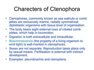 Charecters of Ctenophora
• Ctenophores, commonly known as sea walnuts or comb
jellies are exclusively marine, radially symmetrical,
diploblastic organisms with tissue level of organisation.
• The body bears eight external rows of ciliated comb
plates, which help in locomotion
• Digestion is both extracellular and intracellular.
• Bioluminescence (the property of a living organism to
emit light) is well-marked in ctenophores.
• Sexes are not separate. Reproduction takes place only
by sexual means. Fertilisation is external with indirect
development.
• Examples: pleurobrachia and ctenoplana.
 