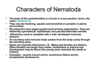 Characters of Nematoda
• The body of the aschelminthes is circular in cross-section, hence, the
name roundworms
• They may be freeliving, aquatic and terrestrial or parasitic in plants
and animals.
• Roundworms have organ-system level of body organisation. They are
bilaterally symmetrical, triploblastic and pseudocoelomate animals.
• Alimentary canal is complete with a well- developed muscular
pharynx.
• An excretory tube removes body wastes from the body cavity through
the excretory pore.
• Sexes are separate (dioecious), i.E., Males and females are distinct.
Often females are longer than males. Fertilisation is internal and
development may be direct (the young ones resemble the adult) or
indirect.
• Examples : ascaris (round worm), wuchereria (filaria worm),
ancylostoma (hookworm).
 