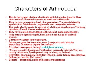 Characters of Arthropoda
• This is the largest phylum of animalia which includes insects. Over
two-thirds of all named species on earth are arthropods.
• They have organ-system level of organisation. They are bilaterally
symmetrical, triploblastic, segmented and coelomate animals.
• The body of arthropods is covered by chitinous exoskeleton. The body
consists of head, thorax and abdomen.
• They have jointed appendages (arthros-joint, poda-appendages).
• Respiratory organs are gills, book gills, book lungs or tracheal
system.
• Circulatory system is of open type.
• Sensory organs like antennae, eyes (compound and simple),
statocysts or balance organs are present.
• Excretion takes place through malpighian tubules.
• They are mostly dioecious. Fertilisation is usually internal. They are
mostly oviparous. Development may be direct or indirect.
• Examples: economically important insects – apis (honey bee), bombyx
(silkworm), laccifer (lac insect)
• Vectors – anopheles, culex and aedes (mosquitoes)
 