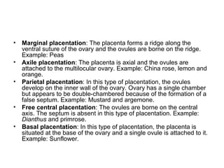 • Marginal placentation: The placenta forms a ridge along the
ventral suture of the ovary and the ovules are borne on the ridge.
Example: Peas
• Axile placentation: The placenta is axial and the ovules are
attached to the multilocular ovary. Example: China rose, lemon and
orange.
• Parietal placentation: In this type of placentation, the ovules
develop on the inner wall of the ovary. Ovary has a single chamber
but appears to be double-chambered because of the formation of a
false septum. Example: Mustard and argemone.
• Free central placentation: The ovules are borne on the central
axis. The septum is absent in this type of placentation. Example:
Dianthus and primrose.
• Basal placentation: In this type of placentation, the placenta is
situated at the base of the ovary and a single ovule is attached to it.
Example: Sunflower.
 