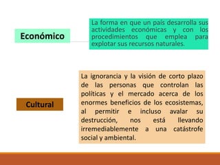 La forma en que un país desarrolla sus
actividades económicas y con los
procedimientos que emplea para
explotar sus recursos naturales.
La ignorancia y la visión de corto plazo
de las personas que controlan las
políticas y el mercado acerca de los
enormes beneficios de los ecosistemas,
al permitir e incluso avalar su
destrucción, nos está llevando
irremediablemente a una catástrofe
social y ambiental.
Cultural
Económico
 