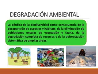 DEGRADACIÓN AMBIENTAL
La pérdida de la biodiversidad como consecuencia de la
desaparición de especies y hábitats, de la eliminación de
poblaciones enteras de vegetación y fauna, de la
degradación completa de recursos y de la deforestación
sistemática de amplias áreas.
 