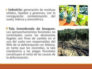  Industria: generación de residuos
sólidos, líquidos y gaseosos, con la
consiguiente contaminación del
suelo, hídrica y atmosférica.
Tala inmoderada de bosques:
Los aprovechamientos forestales no
controlados como los desmontes
ilegales con fines de cambio en el
uso del suelo son responsables del
90% de la deforestación en México,
en tanto que los incendios, la tala
clandestina y las plagas forestales
constituyen el resto de las causas de
la deforestación.
 