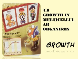 4.6
GROWTH IN
MULTICELLUL
AR
ORGANISMS
 