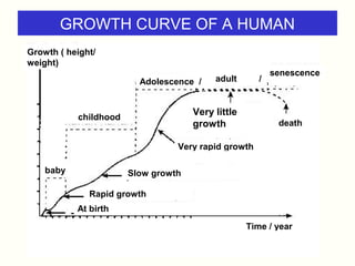 Biology Form 5 Chapter 4 - 4.6 Growth in multicellular organisms | PPT