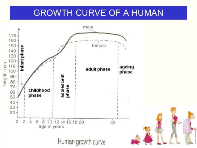 Biology Form 5 Chapter 4 4 6 Growth In Multicellular Organisms