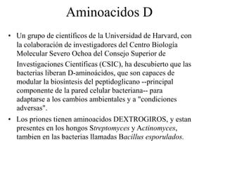 Aminoacidos D
• Un grupo de científicos de la Universidad de Harvard, con
la colaboración de investigadores del Centro Biología
Molecular Severo Ochoa del Consejo Superior de
Investigaciones Científicas (CSIC), ha descubierto que las
bacterias liberan D-aminoácidos, que son capaces de
modular la biosíntesis del peptidoglicano --principal
componente de la pared celular bacteriana-- para
adaptarse a los cambios ambientales y a "condiciones
adversas".
• Los priones tienen aminoacidos DEXTROGIROS, y estan
presentes en los hongos Streptomyces y Actinomyces,
tambien en las bacterias llamadas Bacillus esporulados.
 