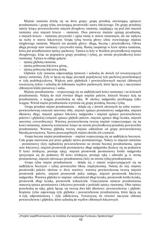 „Projekt współfinansowany ze środków Europejskiego Funduszu Społecznego”
10
Mięśnie ramienia dzielą się na dwie grupy: grupę przednią zawierającą zginacze
przedramienia i grupę tylną zawierającą prostowniki stawu łokciowego. Do grupy przedniej
należy leżący powierzchownie mięsień dwugłowy ramienia, znajdujący się pod nim mięsień
ramienny oraz mięsień kruczo – ramienny. Dwa pierwsze mięśnie zginają przedramię,
a mięsień kruczo – ramienny przywodzi i zgina ramię w stawie ramiennym, ale nie wpływa
na ruchy w stawie łokciowym. Grupę tylną tworzą głowy silnie rozwiniętego mięśnia
trójgłowego ramienia. Mięsień ten posiada głowy: długą, boczną i przyśrodkową. Głowa
długa prostuje staw ramienny i przywodzi ramię. Ramię zaopatruje w krew tętnica ramienna,
która jest przedłużeniem tętnicy pachowej. Tętnica ta leży w bruździe przyśrodkowej mięśnia
dwugłowego, leżąc na pograniczu grupy przedniej i tylnej, po stronie przyśrodkowej kości
ramiennej. Tętnica ta oddaje gałęzie:
– tętnicę głęboką ramienia,
– tętnicę poboczną łokciowa górną ,
– tętnicę poboczną łokciową dolną.
Głębokie żyły ramienia odpowiadają tętnicom i uchodzą do dwóch żył towarzyszących
tętnicy ramiennej. Żyły te łączą się dając początek pojedynczej żyle pachowej przechodzącej
w żyłę podobojczykową. Większe pnie głębokich i powierzchownych naczyń chłonnych
towarzyszą żyłom i uchodzą do kilkunastu węzłów pachowych, które łączą się z naczyniami
chłonnymi klatki piersiowej i sutka.
Mięśnie przedramienia – rozpoczynają się na nadkłykciach kości ramiennej i na kościach
przedramienia. Należą do nich również długie mięśnie palców, których brzuśce leżą na
przedramieniu, a ścięgna przechodzą na rękę. W okolicy nadgarstka przebiegają tylko
ścięgna. Wśród mięśni przedramienia wyróżnia się grupę przednią, boczną i tylną.
Grupa przednia mięśni przedramienia – składa się z dwóch ułożonych na sobie warstw:
powierzchownej (miesień nawrotny obły, mięsień zginacz promieniowy nadgarstka, mięsień
dłoniowy długi, mięsień zginacz łokciowy nadgarstka i mięsień zginacz powierzchowny
palców) i głębokiej (mięsień zginacz głęboki palców, mięsień zginacz długi kciuka, mięsień
nawrotny czworoboczny). Warstwę powierzchowną tworzą mięśnie rozpoczynające się na
kości ramiennej, stanowią wzniesienie leżące na stronie przyśrodkowej przedniej powierzchni
przedramienia. Warstwę głęboką tworzą mięśnie oddzielone od grupy powierzchownej
blaszką powięziową. Nazwa poszczególnych mięśni określa ich czynność.
Grupa boczna mięśni przedramienia – mięśnie rozpoczynają się na nadkłykciu bocznym.
Cała grupa unerwiona jest przez gałązki nerwu promieniowego. Należy tu mięsień ramienno
– promieniowy (leży najbardziej powierzchownie na stronie bocznej przedramienia, zgina
staw łokciowy), mięsień prostownik promieniowy długi nadgarstka (kończy się na podstawie
II kości śródręcza, prostuje rękę), mięsień prostownik promieniowy krótki nadgarstka
(przyczepia się do podstawy III kości śródręcza, prostuje rękę i odwodzi ją w stronę
promieniową), mięsień odwracacz przedramienia (leży na stronie tylnej przedramienia).
Grupa tylna mięśni przedramienia – składa się z mięśni rozpoczynających się na
nadkłykciu bocznym i tylnej powierzchni błony międzykostnej. Należą do niej mięśnie
prostowniki palców ułożone w dwie warstwy: warstwę powierzchowną tworzą mięsień
prostownik palców, mięsień prostownik palca małego, mięsień prostownik łokciowy
nadgarstka. Warstwa głęboka to mięśnie: odwodziciel długi kciuka, prostownik krótki kciuka,
prostownik długi kciuka, prostownik wskaziciela. Unaczynienie tętnicze przedramienia
stanowią tętnica promieniowa i łokciowa powstałe z podziału tętnicy ramiennej. Obie tętnice
przechodzą na rękę, gdzie łącząc się tworzą dwa łuki dłoniowe: powierzchowny i głęboki.
Krążenie żylne zapewniają żyły głębokie i powierzchowne przedramienia, które łączą się
w żyłę odpromieniową i żyłę odłokciową. Towarzyszą im również naczynia chłonne
powierzchowne i głębokie, które uchodzą do węzłów chłonnych łokciowych.
 