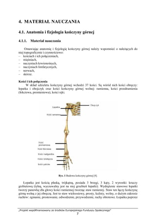„Projekt współfinansowany ze środków Europejskiego Funduszu Społecznego”
7
4. MATERIAŁ NAUCZANIA
4.1. Anatomia i fizjologia kończyny górnej
4.1.1. Materiał nauczania
Omawiając anatomię i fizjologię kończyny górnej należy wspomnieć o należących do
niej topograficznie i czynnościowo:
– kościach i ich połączeniach,
– mięśniach,
– naczyniach krwionośnych,
– naczyniach limfatycznych,
– nerwach,
– skórze.
Kości i ich połączenia
W skład szkieletu kończyny górnej wchodzi 37 kości. Są wśród nich kości obręczy:
łopatka i obojczyk oraz kości kończyny górnej wolnej: ramienna, kości przedramienia
(łokciowa, promieniowa), kości ręki.
Rys. 1 Budowa kończyny górnej [4].
Łopatka jest kością płaską, trójkątną, posiada 3 brzegi, 3 kąty, 2 wyrostki: kruczy
grzbietową (tylną, wyczuwalny jest na niej grzebień łopatki). Wydrążenie stawowe łopatki
tworzy panewkę dla głowy kości ramiennej tworząc staw ramienny. Staw ten łączy kończynę
górną wolną z jej obręczą. Jest to staw wieloosiowy, prosty, kulisty, wolny, o dużym zakresie
ruchów: zginanie, prostowanie, odwodzenie, przywodzenie, ruchy obrotowe. Łopatka poprzez
 