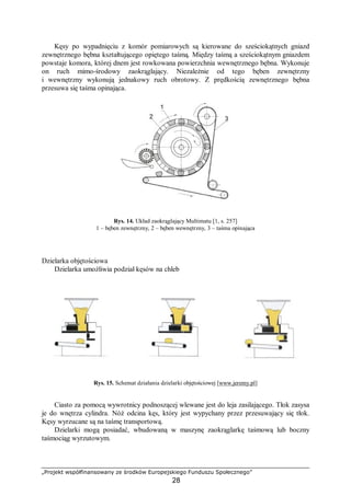 „Projekt współfinansowany ze środków Europejskiego Funduszu Społecznego”
28
Kęsy po wypadnięciu z komór pomiarowych są kierowane do sześciokątnych gniazd
zewnętrznego bębna kształtującego opiętego taśmą. Między taśmą a sześciokątnym gniazdem
powstaje komora, której dnem jest rowkowana powierzchnia wewnętrznego bębna. Wykonuje
on ruch mimo-środowy zaokrąglający. Niezależnie od tego bęben zewnętrzny
i wewnętrzny wykonują jednakowy ruch obrotowy. Z prędkością zewnętrznego bębna
przesuwa się taśma opinająca.
Rys. 14. Układ zaokrąglający Multimatu [1, s. 257]
1 – bęben zewnętrzny, 2 – bęben wewnętrzny, 3 – taśma opinająca
Dzielarka objętościowa
Dzielarka umożliwia podział kęsów na chleb
Rys. 15. Schemat działania dzielarki objętościowej [www.jeremy.pl]
Ciasto za pomocą wywrotnicy podnoszącej wlewane jest do leja zasilającego. Tłok zasysa
je do wnętrza cylindra. Nóż odcina kęs, który jest wypychany przez przesuwający się tłok.
Kęsy wyrzucane są na taśmę transportową.
Dzielarki mogą posiadać, wbudowaną w maszynę zaokrąglarkę taśmową lub boczny
taśmociąg wyrzutowym.
 