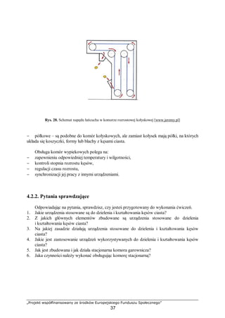 „Projekt współfinansowany ze środków Europejskiego Funduszu Społecznego”
37
Rys. 28. Schemat napędu łańcucha w komorze rozrostowej kołyskowej [www.jeremy.pl]
− półkowe – są podobne do komór kołyskowych, ale zamiast kołysek mają półki, na których
układa się koszyczki, formy lub blachy z kęsami ciasta.
Obsługa komór wypiekowych polega na:
− zapewnieniu odpowiedniej temperatury i wilgotności,
− kontroli stopnia rozrostu kęsów,
− regulacji czasu rozrostu,
− synchronizacji jej pracy z innymi urządzeniami.
4.2.2. Pytania sprawdzające
Odpowiadając na pytania, sprawdzisz, czy jesteś przygotowany do wykonania ćwiczeń.
1. Jakie urządzenia stosowane są do dzielenia i kształtowania kęsów ciasta?
2. Z jakich głównych elementów zbudowane są urządzenia stosowane do dzielenia
i kształtowania kęsów ciasta?
3. Na jakiej zasadzie działają urządzenia stosowane do dzielenia i kształtowania kęsów
ciasta?
4. Jakie jest zastosowanie urządzeń wykorzystywanych do dzielenia i kształtowania kęsów
ciasta?
5. Jak jest zbudowana i jak działa stacjonarna komora garownicza?
6. Jaka czynności należy wykonać obsługując komorę stacjonarną?
 