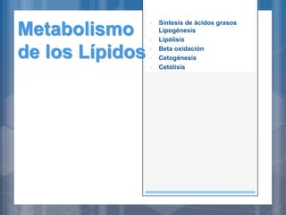 Metabolismo
de los Lípidos
• Síntesis de ácidos grasos
Lipogénesis
• Lipólisis
• Beta oxidación
• Cetogénesis
• Cetólisis
 