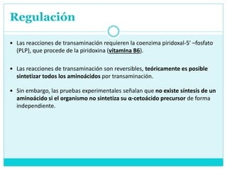 Regulación
 Las reacciones de transaminación requieren la coenzima piridoxal-5' –fosfato
(PLP), que procede de la piridoxina (vitamina B6).
 Las reacciones de transaminación son reversibles, teóricamente es posible
sintetizar todos los aminoácidos por transaminación.
 Sin embargo, las pruebas experimentales señalan que no existe síntesis de un
aminoácido si el organismo no sintetiza su α-cetoácido precursor de forma
independiente.
 