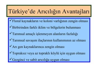 Türkiye’de Arıcılığın Avantajları
Floral kaynakların ve koloni varlığının zengin olması
Birbirinden farklı iklim ve bölgelerin bulunması
Tarımsal amaçlı işlenmeyen alanların fazlalığı
Tarımsal savaşım ilaçlarının kullanımının az olması
Arı gen kaynaklarınca zengin olması
Topraksız veya az topraklı köylü için uygun olması
Gezginci ve sabit arıcılığa uygun olması
 