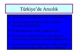 Türkiye’de Arıcılık
 Türkiye'de 4.200.000 adet koloni bulunmaktadır.
 Bu kolonilerden 65.000 ton bal ve 4.000 ton
balmumu üretilmektedir.
 Koloni başına bal verimi 16 kg/kolonidir.
 Koloni sayısı bakımından en zengin bölgeler
sırasıyla Ege, Karadeniz ve Akdeniz Bölgeleridir.
 Koloni sayısı ve bal üretiminin en yoğun olduğu
iller sırasıyla Muğla, Ordu, Adana ve İzmir’dir.
 