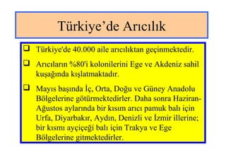 Türkiye’de Arıcılık
 Türkiye'de 40.000 aile arıcılıktan geçinmektedir.
 Arıcıların %80'i kolonilerini Ege ve Akdeniz sahil
kuşağında kışlatmaktadır.
 Mayıs başında İç, Orta, Doğu ve Güney Anadolu
Bölgelerine götürmektedirler. Daha sonra Haziran-
Ağustos aylarında bir kısım arıcı pamuk balı için
Urfa, Diyarbakır, Aydın, Denizli ve İzmir illerine;
bir kısmı ayçiçeği balı için Trakya ve Ege
Bölgelerine gitmektedirler.
 
