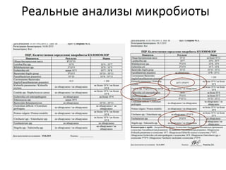 Реальные анализы микробиоты
 