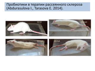 Пробиотики в терапии рассеянного склероза
(Abdurasulova I., Tarasova E. 2014).
CI=0 CI=0,5
CI=4,5 CI=5,5
 