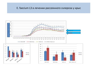 E. faecium L3 в лечении рассеянного склероза у крыс
Copaxone
E.Faecium L3
C
l
i
n
i
c
a
l
i
n
d
e
x
 