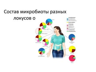 Состав микробиоты разных
локусов организма
 