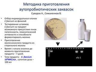 Методика приготовления
аутопробиотических заквасок
Суворов А., Симаненков В.
• Отбор индивидуальных клонов
E.faecium из фекалий
• Тестирование штаммов
E.faecium на предмет
возможного присутствия генов
патогенности, гемолитической
активности и способности
ферментировать молоко
• Приготовление
молочнокислого продукта из
стерильного молока
• Время с начала анализа до
момента приготовления
продукта – 7 дней.
• Титр продукта - E. faecium
108КФЕ/мл , суточная доза –
100 мл
М 1 2 3 4 5 6 7 8 9 10 11 12 13 14 15 16
efa 1
 