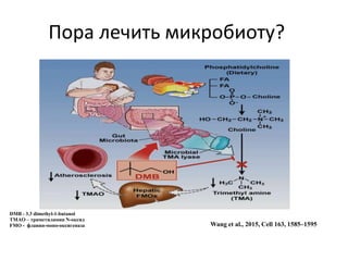 Пора лечить микробиоту?
Wang et al., 2015, Cell 163, 1585–1595
DMB - 3.3 dimethyl-1-butanol
TMAO – триметиламин N-оксид
FMO - флавин-моно-оксигеназа
 