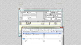 4.Financa 5, blerjet