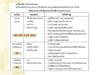 IAA ,IBA ,2,4-D ,NAA
GA
BA
 