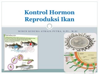 W I W I N K U S U M A A T M A J A P U T R A , S . P I . , M . S I
Kontrol Hormon
Reproduksi Ikan
 