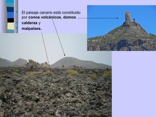  El paisaje canario está constituido
por conos volcánicos, domos
 calderas y
 malpaíses.
 