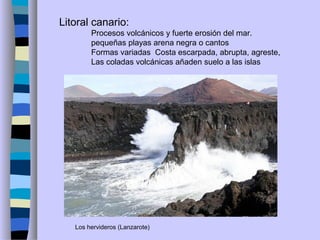 Litoral canario:
Procesos volcánicos y fuerte erosión del mar.
pequeñas playas arena negra o cantos
Formas variadas Costa escarpada, abrupta, agreste,
Las coladas volcánicas añaden suelo a las islas
Los hervideros (Lanzarote)
 
