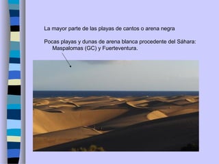 La mayor parte de las playas de cantos o arena negra
Pocas playas y dunas de arena blanca procedente del Sáhara:
Maspalomas (GC) y Fuerteventura.
 